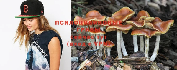 не бодяженный Зеленодольск
