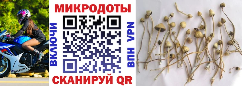 Купить  Сосенский  Псилоцибиновые грибы Psilocybine cubensis 